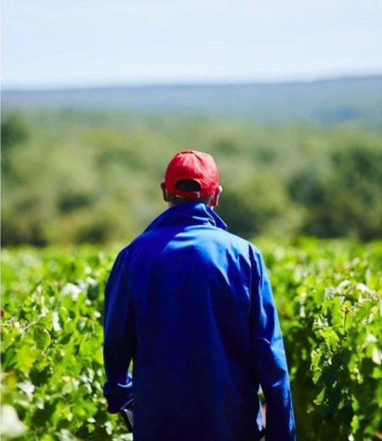 U1844】ﾃﾀﾝｼﾞｪ TAITTINGER 2000 ｼｬﾝﾊﾟｰﾆｭ