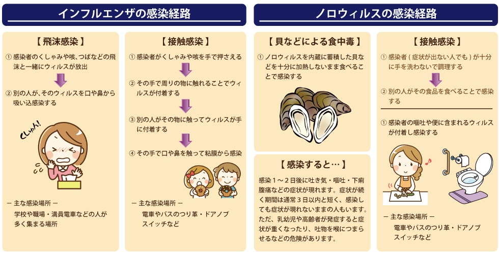 インフルエンザ・ノロウイルスの感染経路