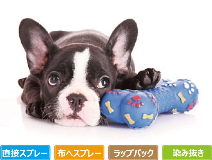 犬とおもちゃのイメージ