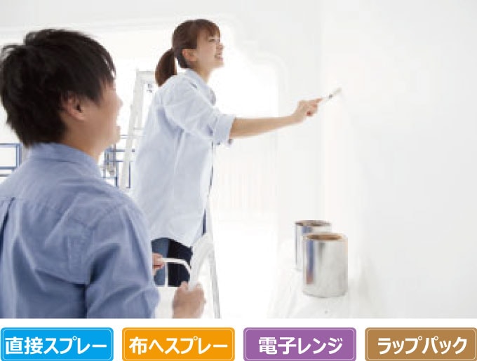 壁塗装のイメージ