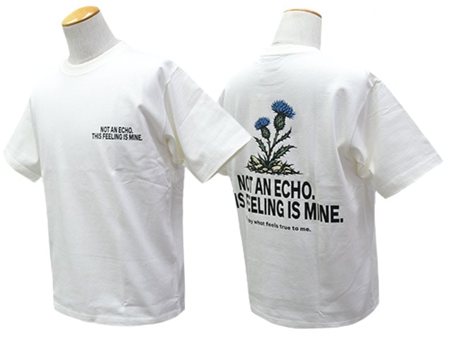 FLUTTER Tシャツセット XL 全3色【FLUTTER/フラッター】2026SS「USA Cotton Graphic S/S Tee/USA