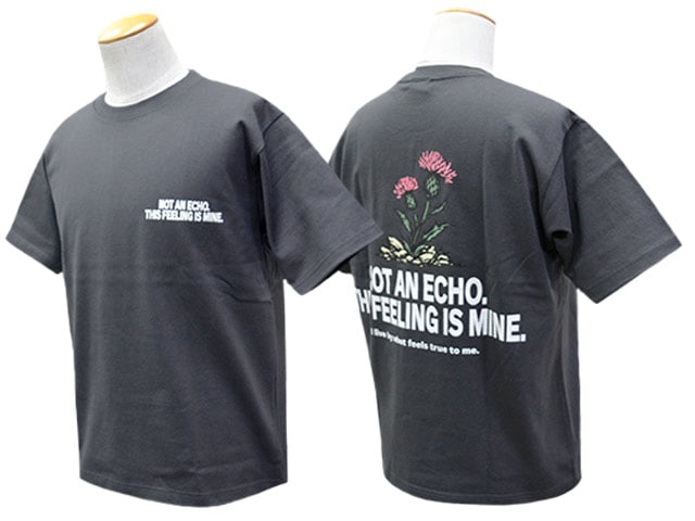 全3色【FLUTTER/フラッター】2026SS「USA Cotton Graphic S/S Tee/USA