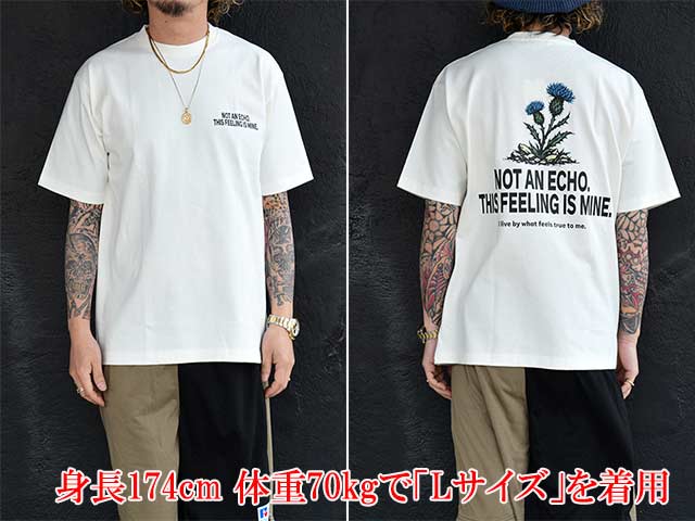 全3色【FLUTTER/フラッター】2026SS「USA Cotton Graphic S/S Tee/USA