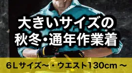 ߡǯ 礭