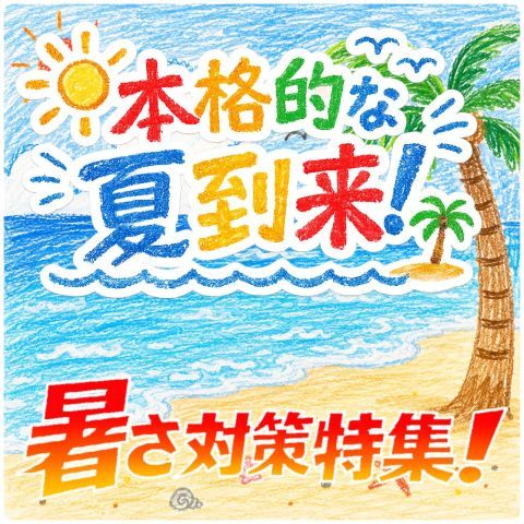 2026夏対策
