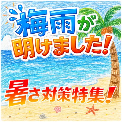 2026夏対策