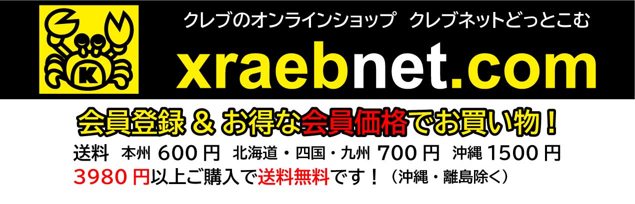 2023年秋冬 新作【国内正規品】ザ ノースフェイス ヌプシ チャッカ