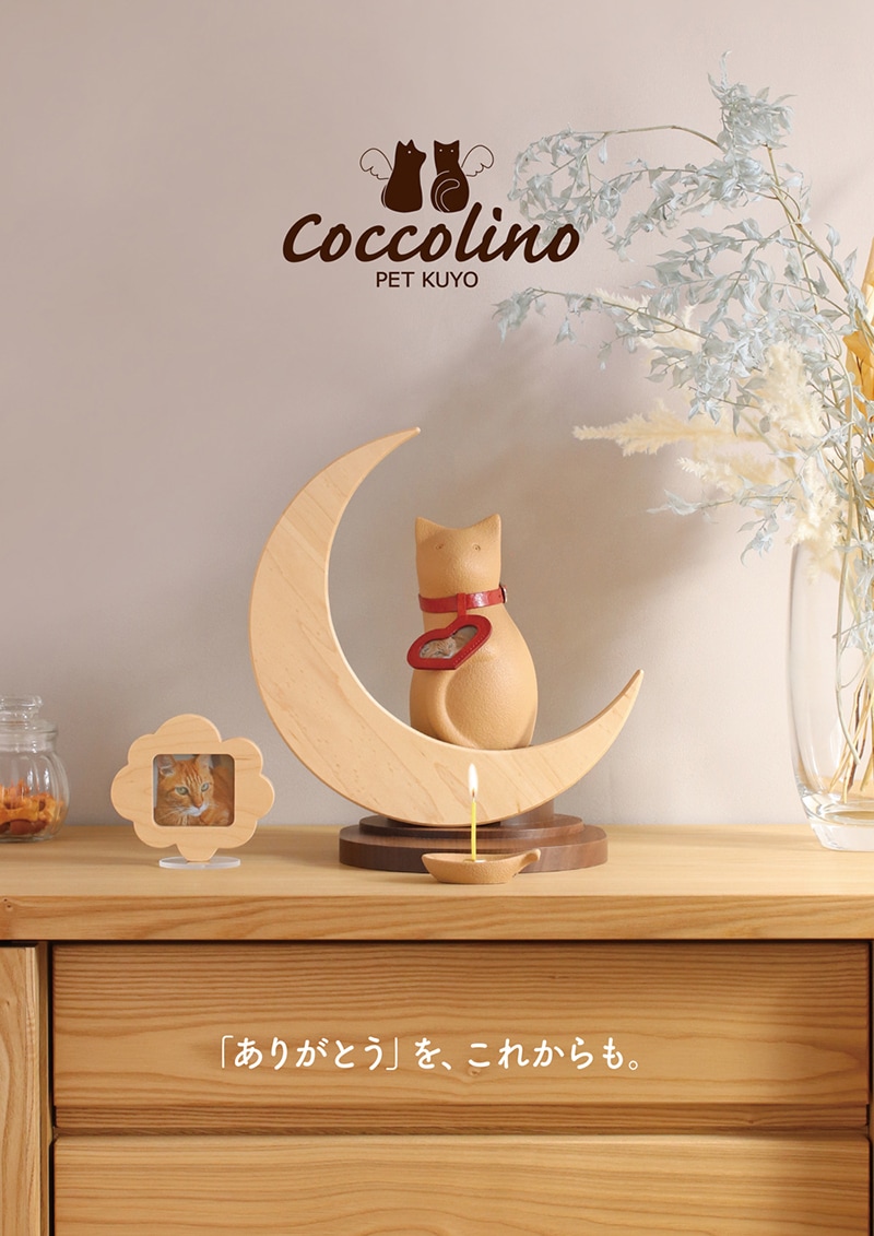 Coccolino