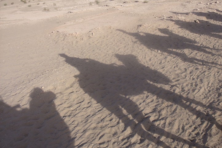 砂漠に映るラクダの影
