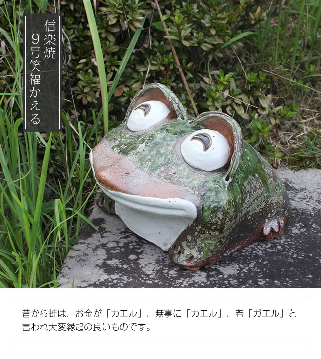 カエル置物　信楽焼き蛙　陶器カエル　しがらきやき