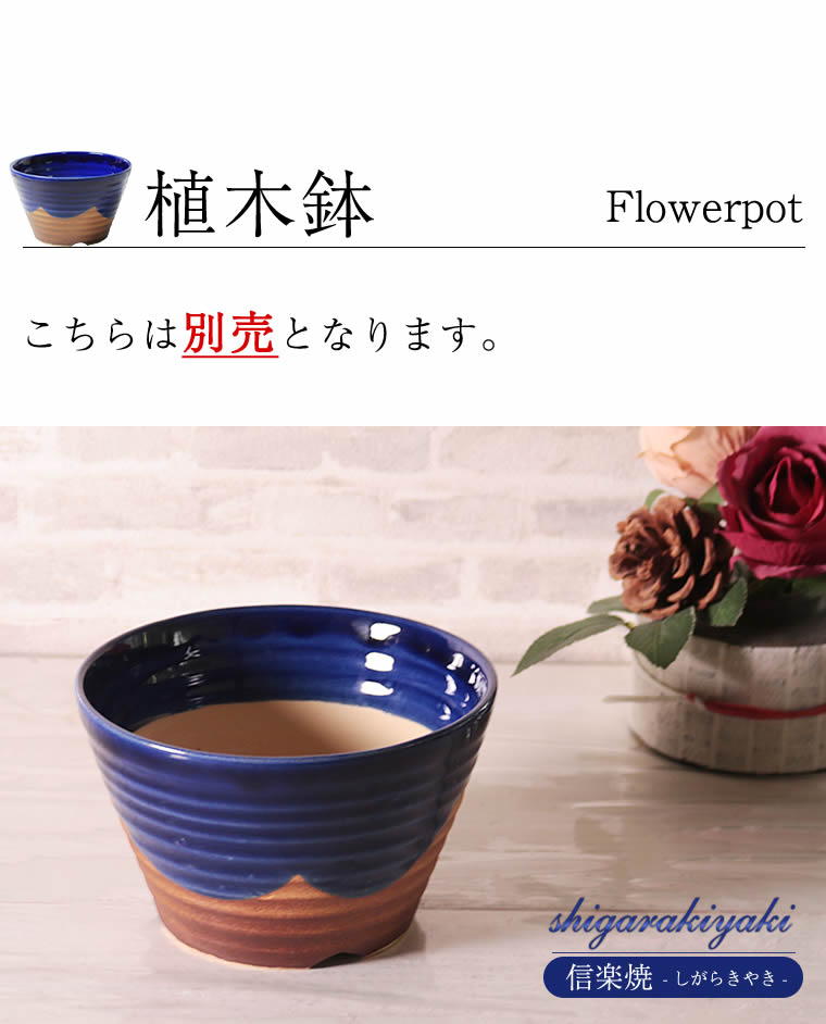 信楽焼 すべての商品 【受け皿のみ】信楽焼 植木鉢の受け皿 鉢皿 丸型