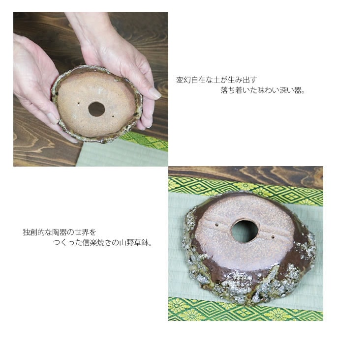  ����ȭ��������ȭ��ȡ����Ĺ��ͺ���ھƤ�����ȭ����Ť��껳��ȭ����顡ȭ