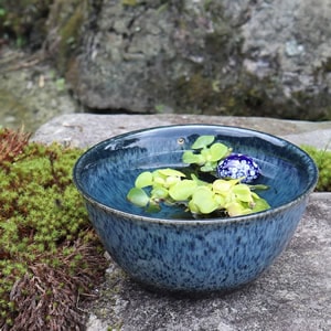 10号ブルー斑点