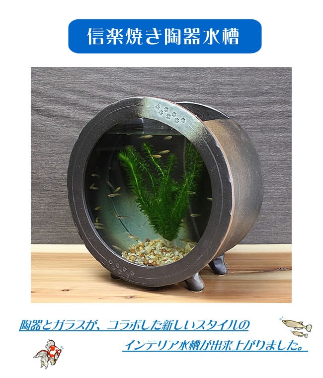 陶器水槽　信楽焼水槽　金魚鉢めだか鉢に最適　しがらき