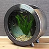 陶器水槽　信楽焼水槽　金魚鉢めだか鉢に最適　しがらき