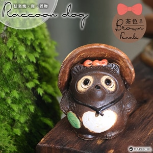 �פ��פ�����˥᥹