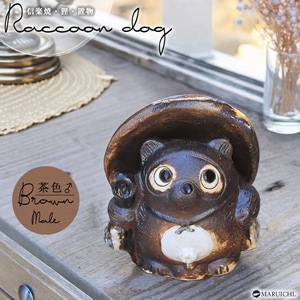 �פ��פ�����˥���