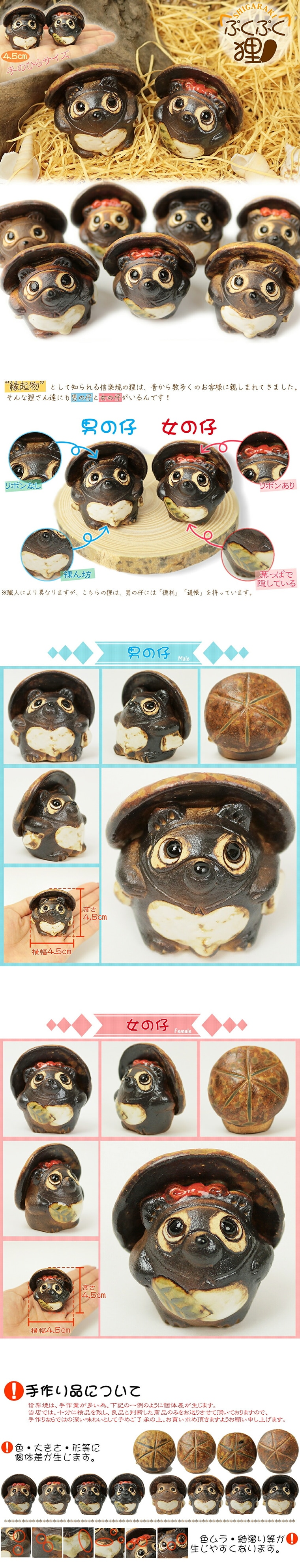 ���ھ� �פ��פ�ì�ʾ���