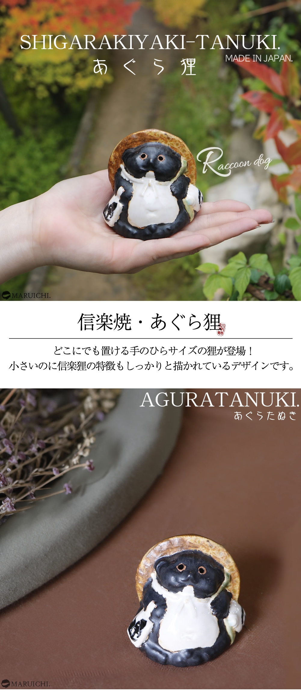 ���ھ� ì ��ʪ