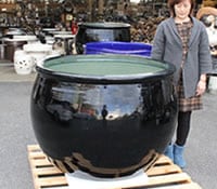 大きな鉢