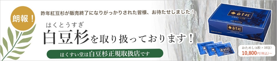 白豆杉を取り扱っております！