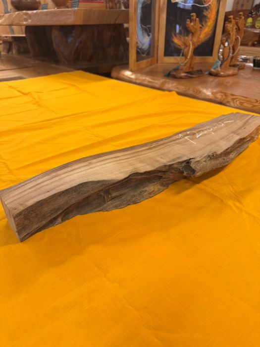 ���׿����ݸ��ڡ��Ӻ�