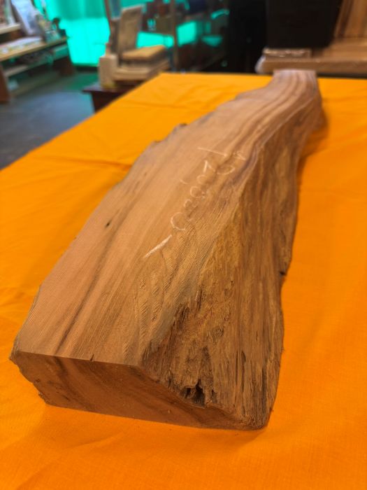 ���׿����ݸ��ڡ��Ӻ�