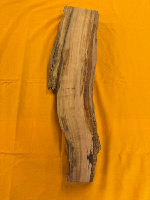 ���׿����ݸ��ڡ��Ӻ�