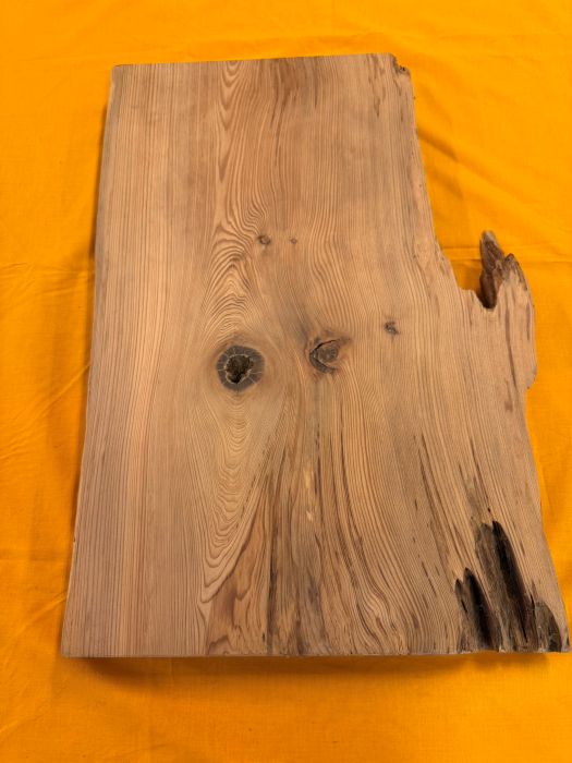 ���׿����ݸ���