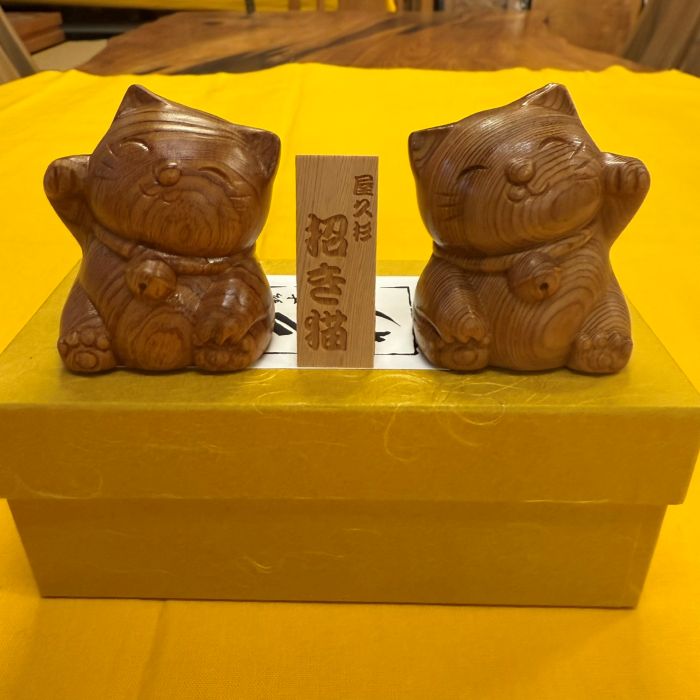 ���׿���������ǭĦ��ʪ����ʪ