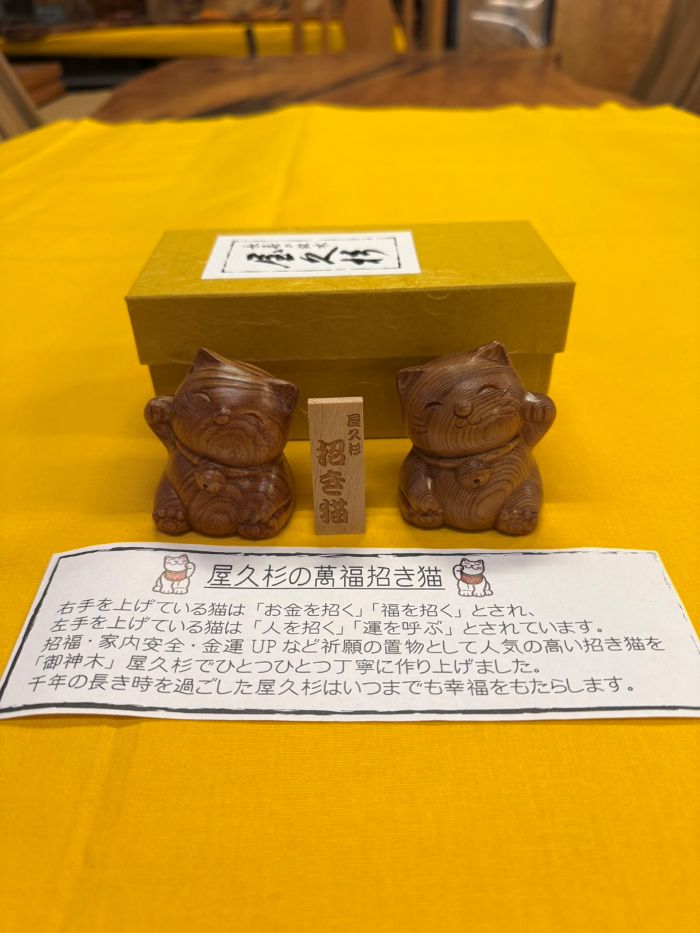 ���׿���������ǭĦ��ʪ����ʪ