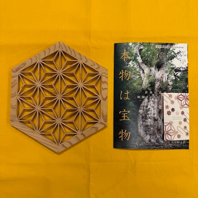 ���׿������ȻҲ���ʾ������