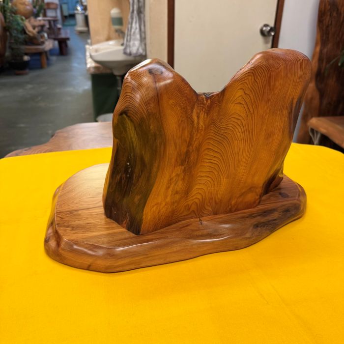 ���׿����ȡ����դ���