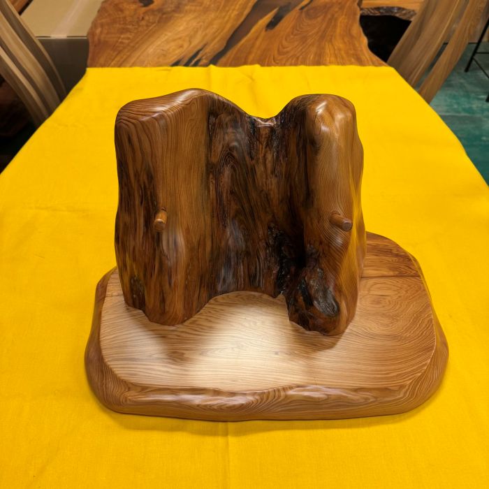 ���׿����ȡ����դ���