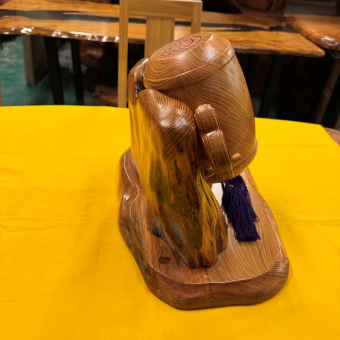 ���׿����ȡ����դ���