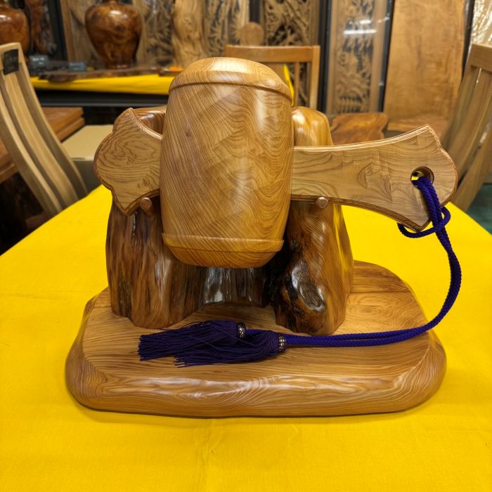 ���׿����ȡ����դ���