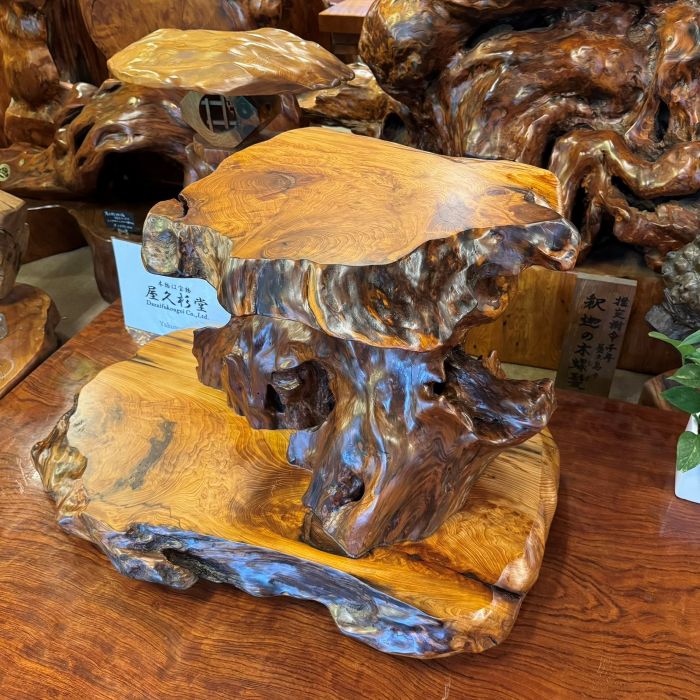 ���׿������־�