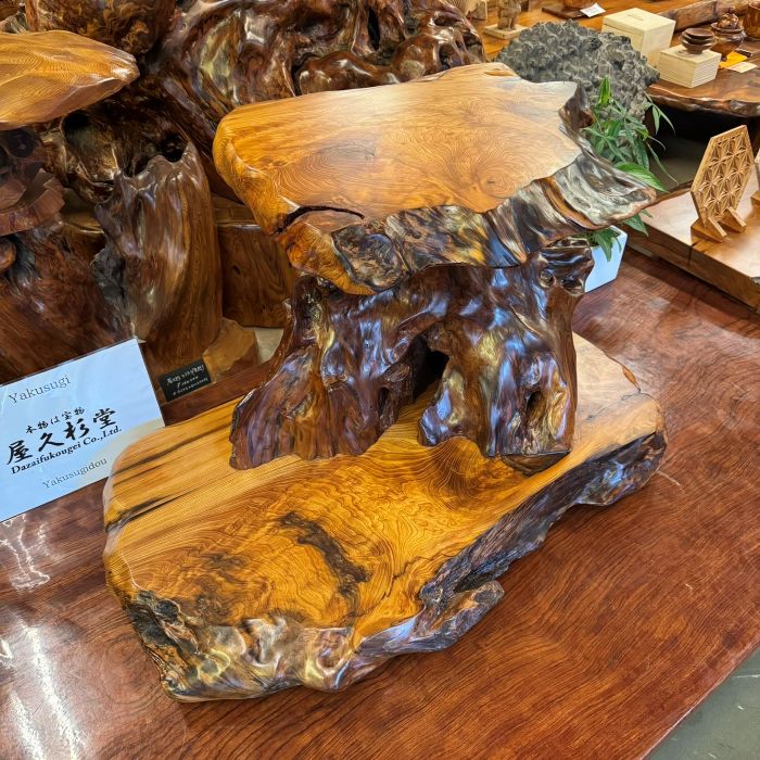 ���׿������־�