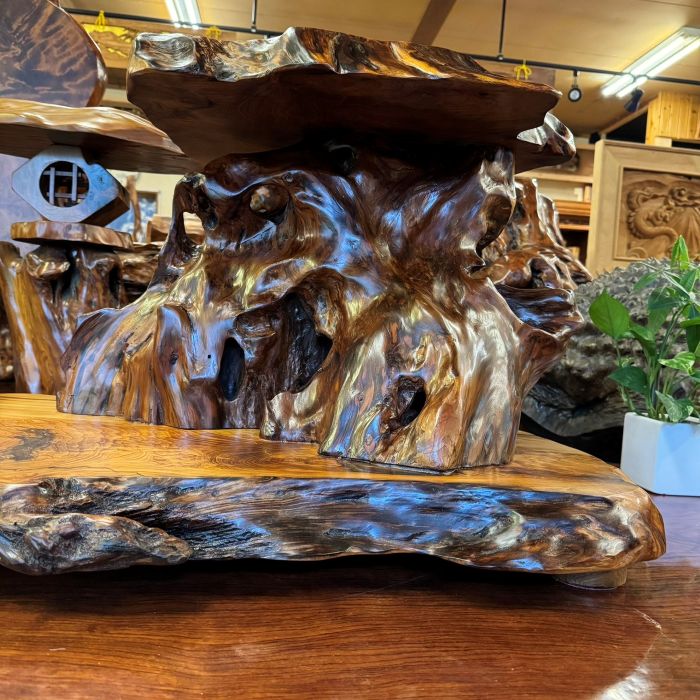 ���׿������־�