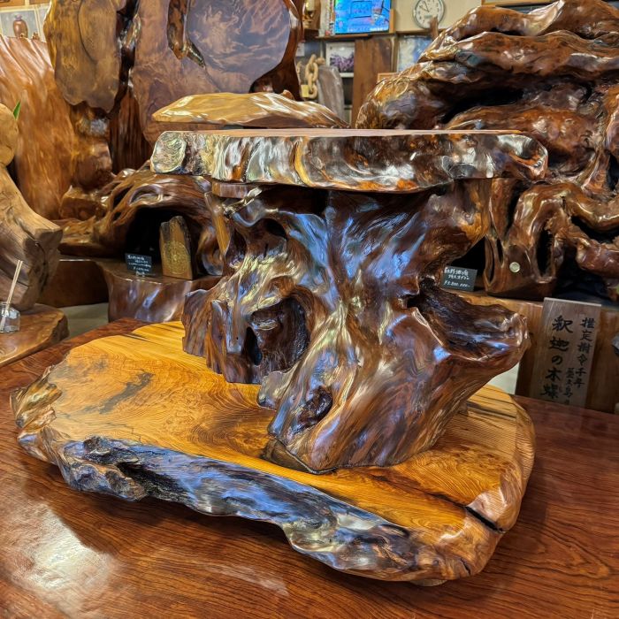 ���׿������־�