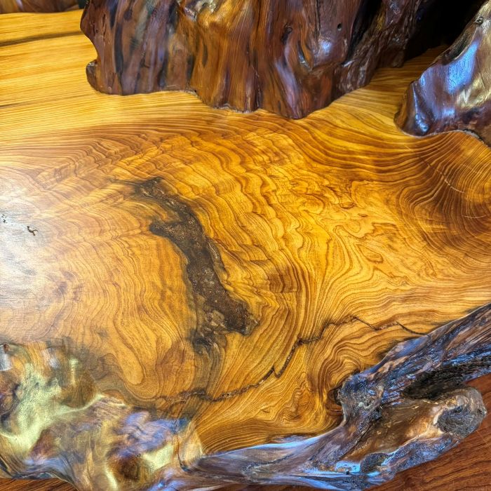 ���׿������־�