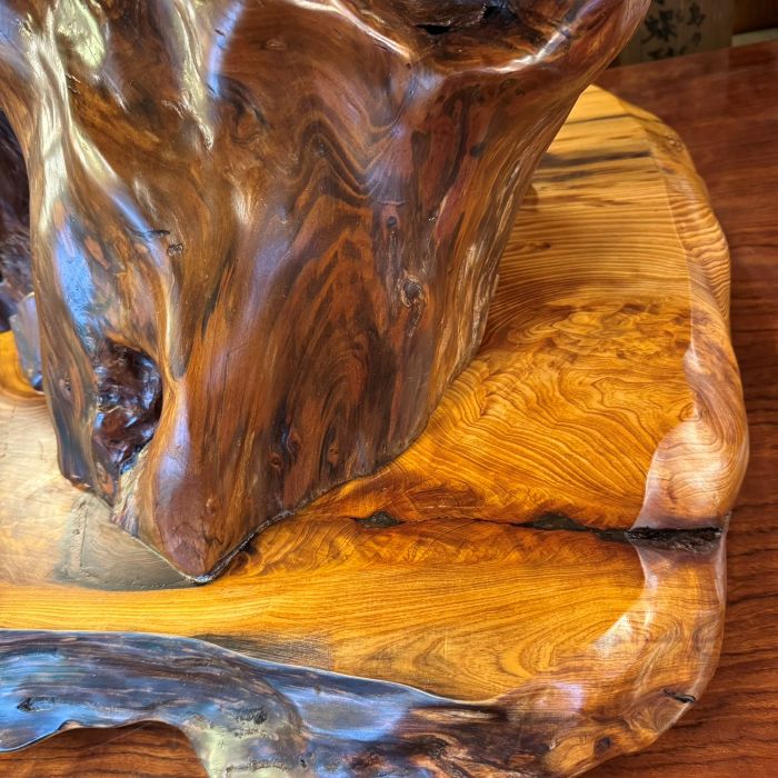 ���׿������־�