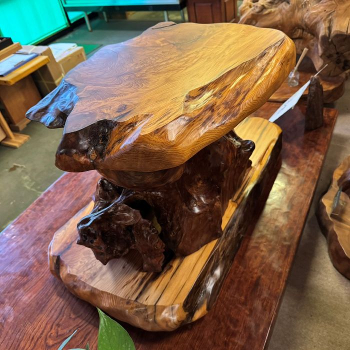 ���׿������־�