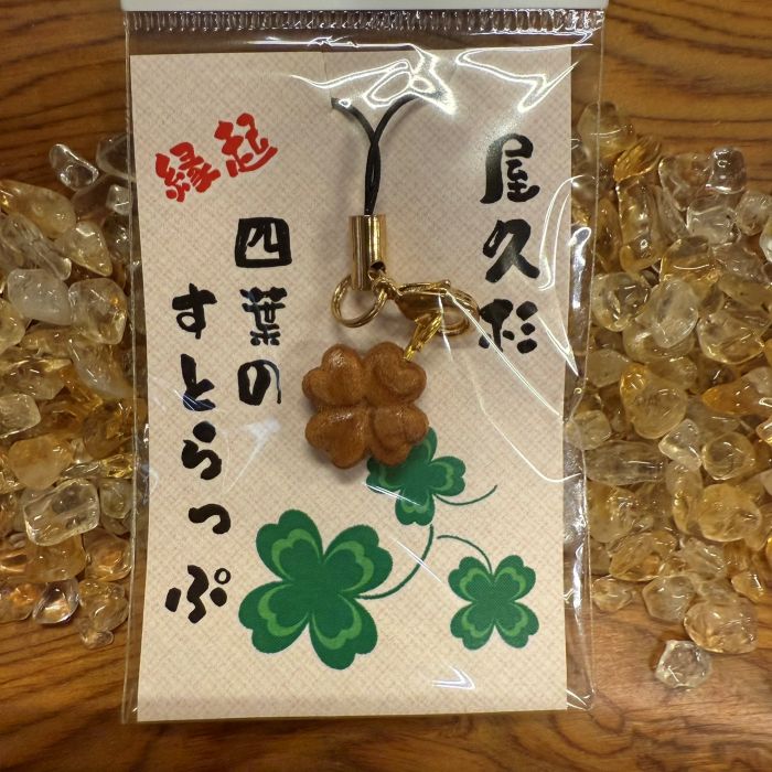 ���׿������������С����աʼ�Ħ���