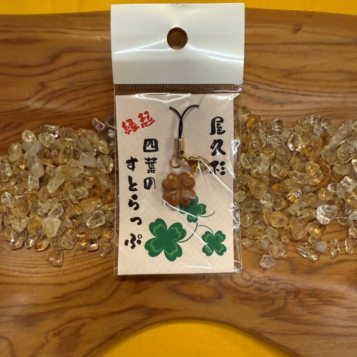 ���׿������������С����աʼ�Ħ���