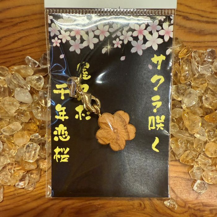 ���׿����������麬�աʼ�Ħ���