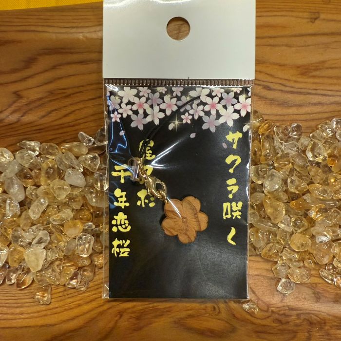 ���׿����������麬�աʼ�Ħ���