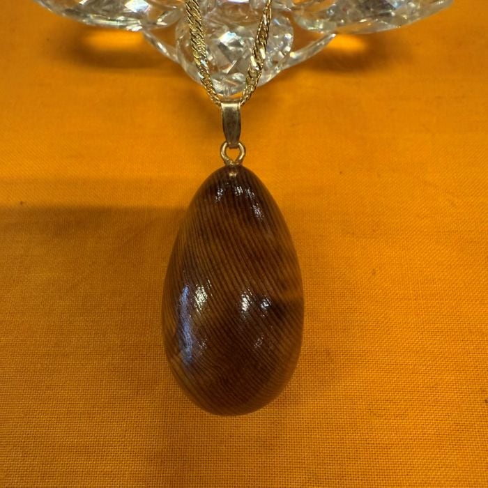 ���׿������ݼ����ͥå��쥹�ʥ�������ǧ����ա�