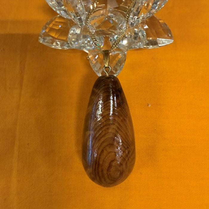 ���׿���������ݼ����ͥå��쥹�ʥ�������ǧ����ա�