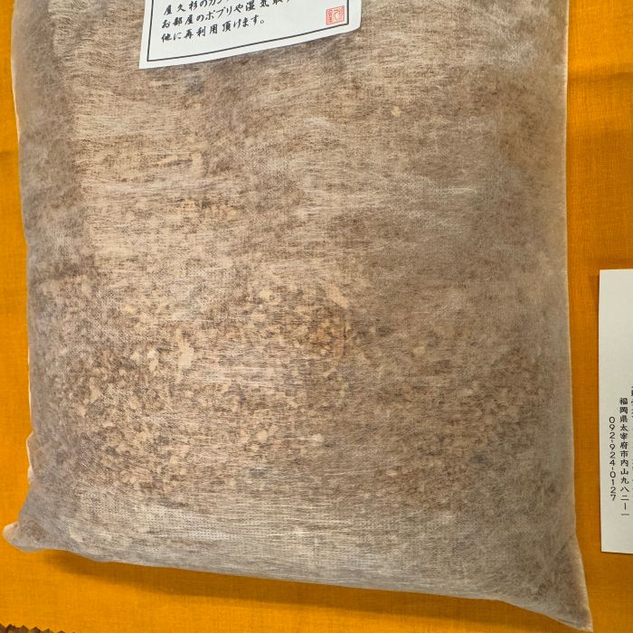 ���׿����δ˾׺�